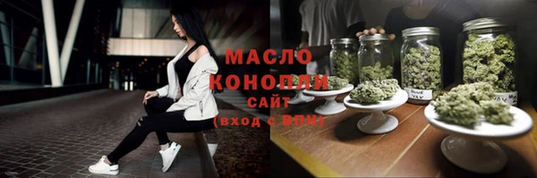 ешки Бородино