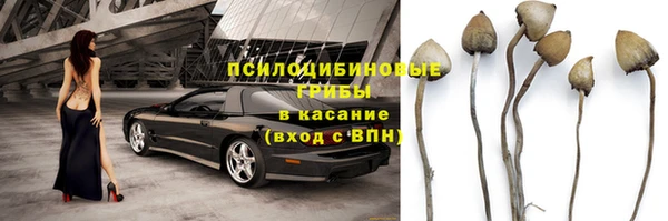 прущая мука Бугульма