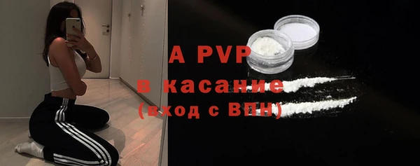 ешки Бородино